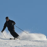 dienten 2011